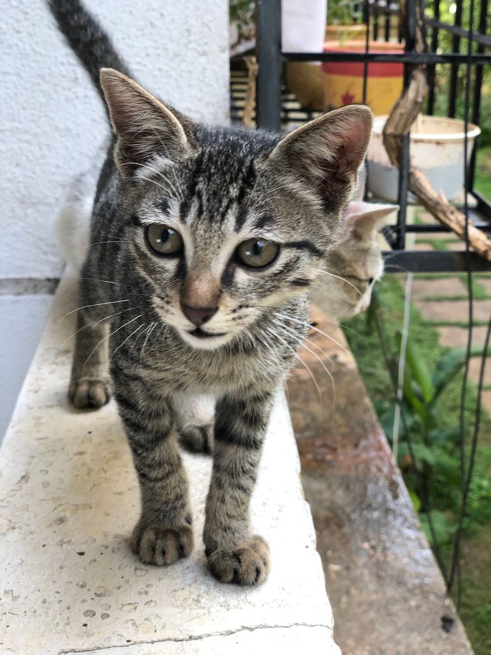 Pets and cattle of infrastructure